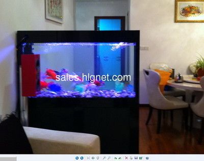 廣州魚缸清洗公司排名如何：廣州魚缸清洗公司哪家好