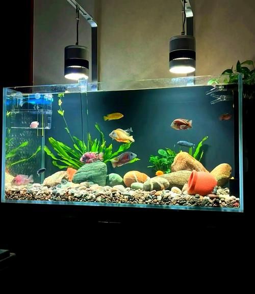 家庭客廳魚缸擺放位置圖【家庭客廳魚缸擺放位置圖解與風水建議】