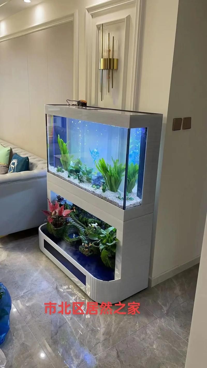 家庭客廳魚缸擺放位置圖【家庭客廳魚缸擺放位置圖解與風水建議】