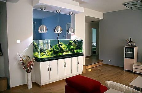 家庭客廳魚缸擺放位置圖【家庭客廳魚缸擺放位置圖解與風水建議】