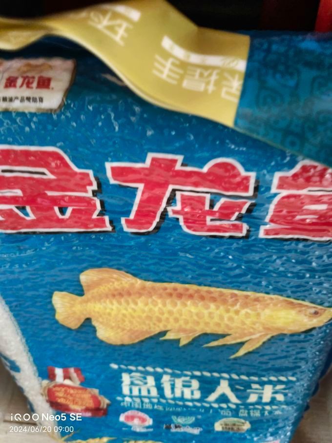金龍魚產(chǎn)品在哪里可以購(gòu)買？