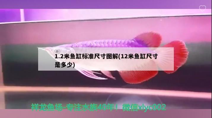天水海那方商貿有限公司（天水海廣商貿有限公司）