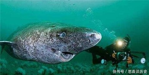 中山龍魚養(yǎng)殖場在哪里啊電話號碼查詢：探尋中山龍魚養(yǎng)殖場，位置與聯(lián)系方式全解析