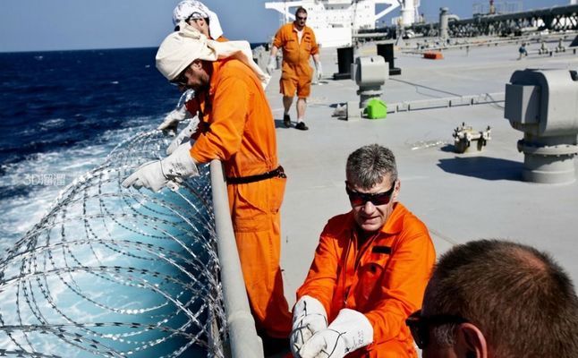 藍色的觀賞魚是什么魚（藍色的魚是什么品種）