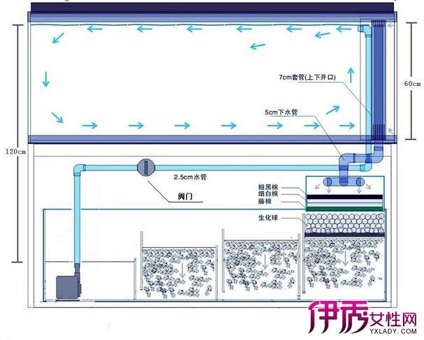 底濾魚(yú)缸過(guò)濾系統(tǒng)擺放的目的是最大化發(fā)揮濾材的效能：底濾魚(yú)缸過(guò)濾系統(tǒng)擺放圖底濾魚(yú)缸過(guò)濾系統(tǒng)擺放建議