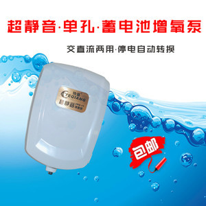 廣州龍魚網站批發（廣州龍魚批發市場價格）
