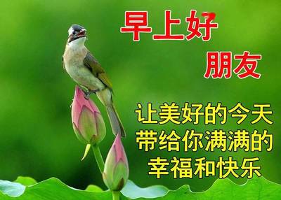 龍魚配什么魚最適合和什么魚混養(yǎng)，龍魚配什么魚最上檔次