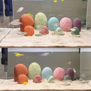 魚缸彩石圖片高清：魚缸彩石搭配水草效果圖