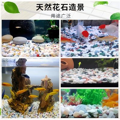 魚缸彩石圖片高清：魚缸彩石搭配水草效果圖