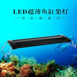 魚缸照明燈選擇與搭配：觀賞魚缸燈光設計的藝術探討魚缸燈光設計的藝術性 魚缸照明燈選擇與搭配：觀賞魚缸燈光設計的藝術探討魚缸燈光設計的藝術性 魚缸百科 第3張