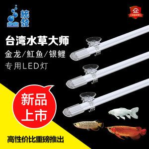 魚缸照明燈選擇與搭配：觀賞魚缸燈光設計的藝術探討魚缸燈光設計的藝術性 魚缸照明燈選擇與搭配：觀賞魚缸燈光設計的藝術探討魚缸燈光設計的藝術性 魚缸百科 第1張