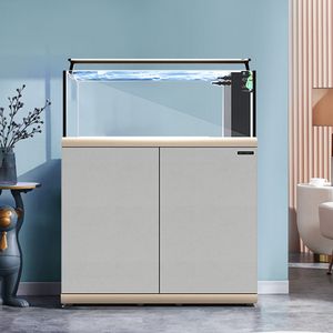 龍魚身體上粘有白色物體是什么情況：如何預防龍魚身上粘有白色物體