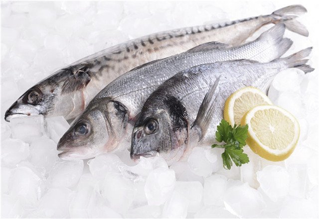 魚缸下面過濾怎么安裝 魚缸下面過濾教程 魚缸下面過濾怎么安裝 魚缸下面過濾教程 龍年龍魚 第1張