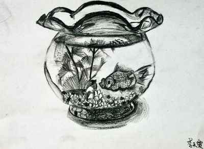 畫一個魚缸怎么畫（ug/nx三維建模軟件ug/nx三維建模軟件） 畫一個魚缸怎么畫（ug/nx三維建模軟件ug/nx三維建模軟件） 魚缸百科 第1張