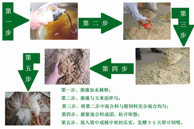 鱘龍魚水質 鱘龍魚養殖水溫條件