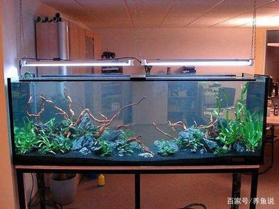 鄭州高新區劉林觀賞魚經營部（鄭州高新區劉林觀賞魚經營部地址）