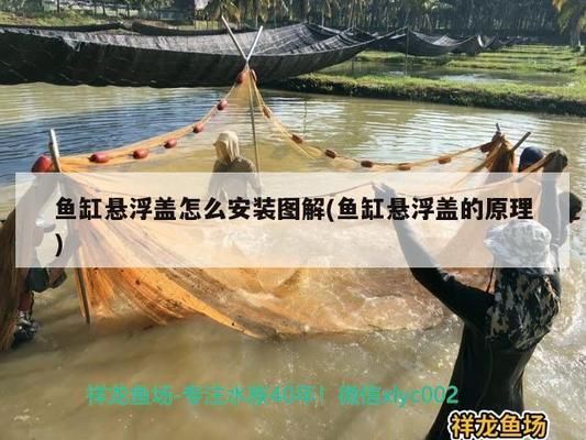 魚缸蓋子怎么安裝圖解：如何自制簡易魚缸蓋子,魚缸蓋子維護(hù)保養(yǎng)方法