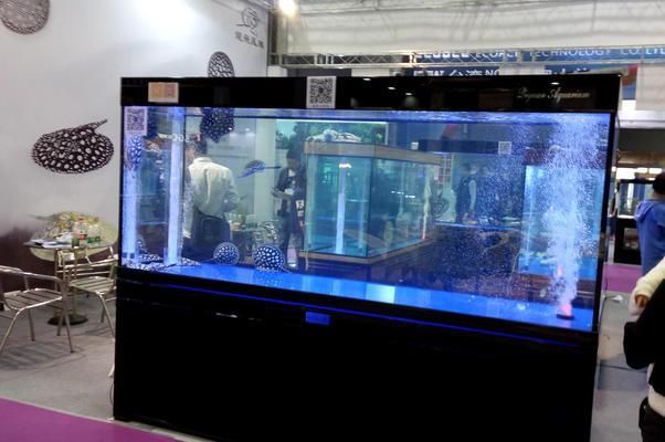 魚缸蓋子怎么安裝圖解：如何自制簡易魚缸蓋子,魚缸蓋子維護(hù)保養(yǎng)方法