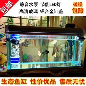 比較好的魚缸推薦