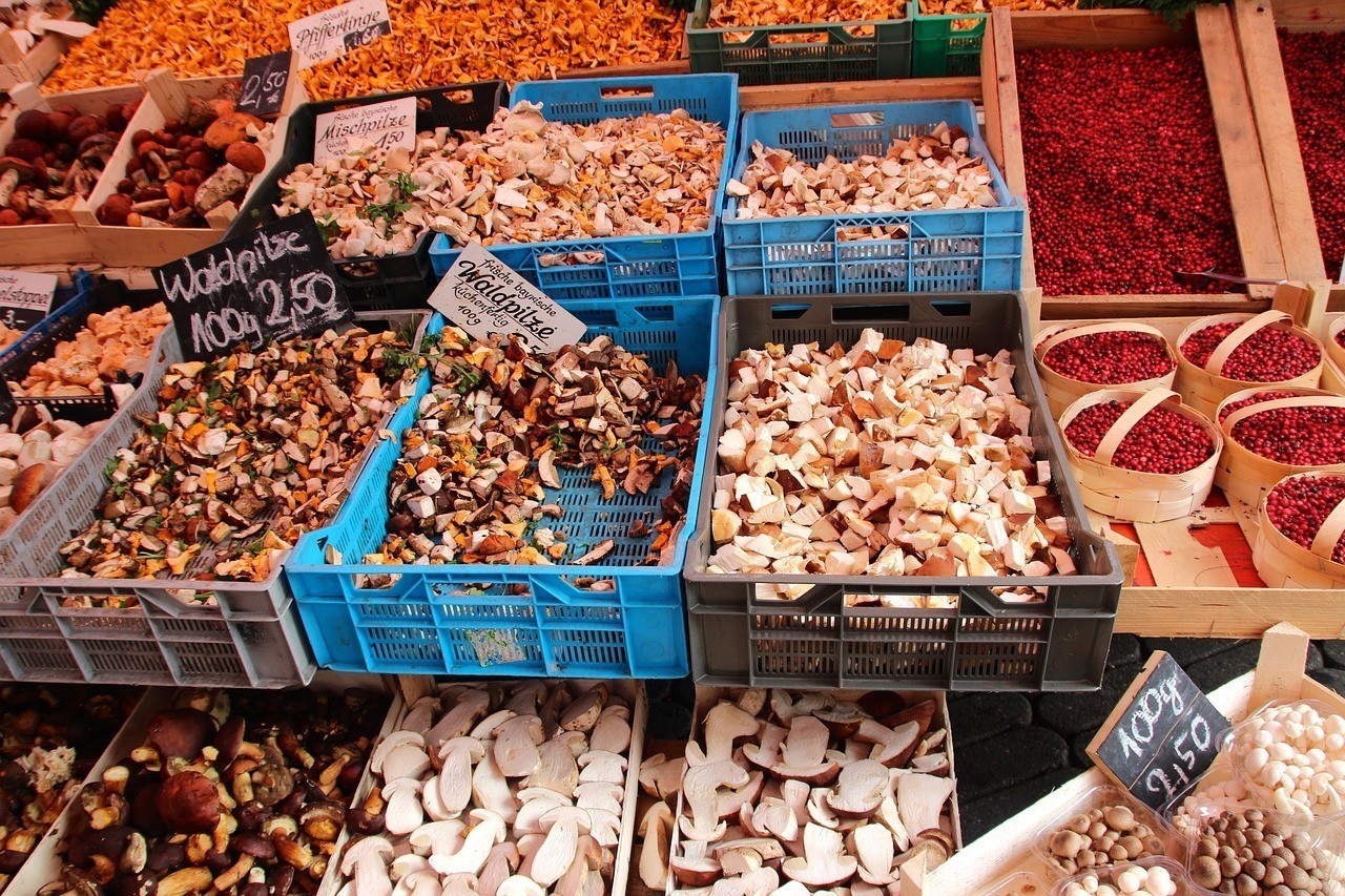 城關區花魚市場魚海水族店