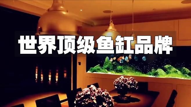 世界公認三大頂級魚缸，世界公認三大頂級魚缸品牌
