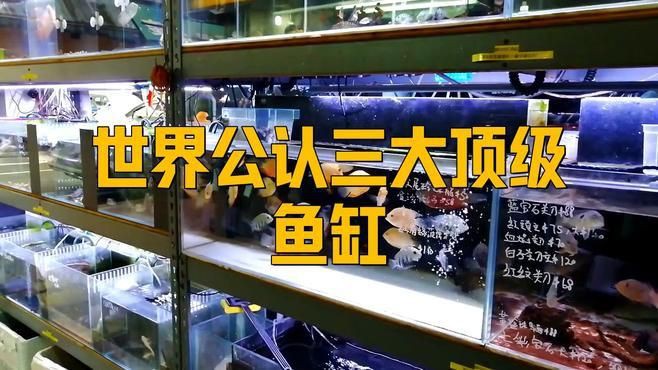 世界公認三大頂級魚缸，世界公認三大頂級魚缸品牌
