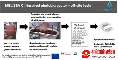 芳村花鳥魚蟲新世界在哪里（ 芳村花鳥魚蟲樓盤）