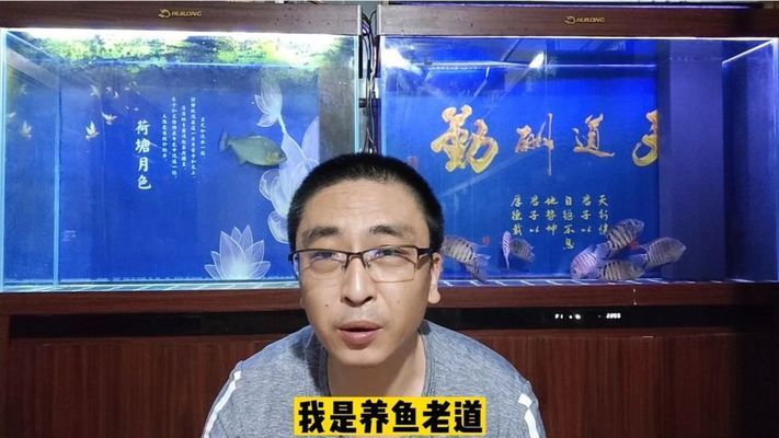 聊城魚缸批發(fā)市場在哪里啊電話（聊城哪里有賣水缸的）