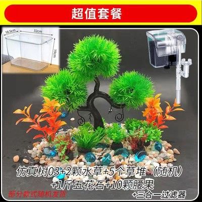 六角恐龍魚缸的最佳水草，六角恐龍魚缸水質管理方法