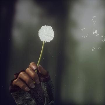 河刀魚多少一斤