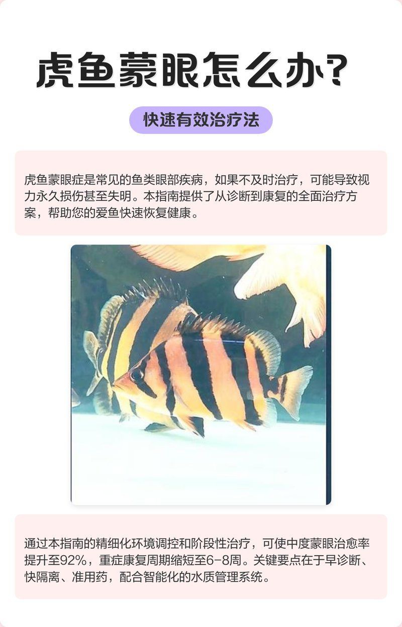 虎魚泡藥可以看出來嗎 虎魚泡藥可以看出來嗎 龍魚論壇 第3張