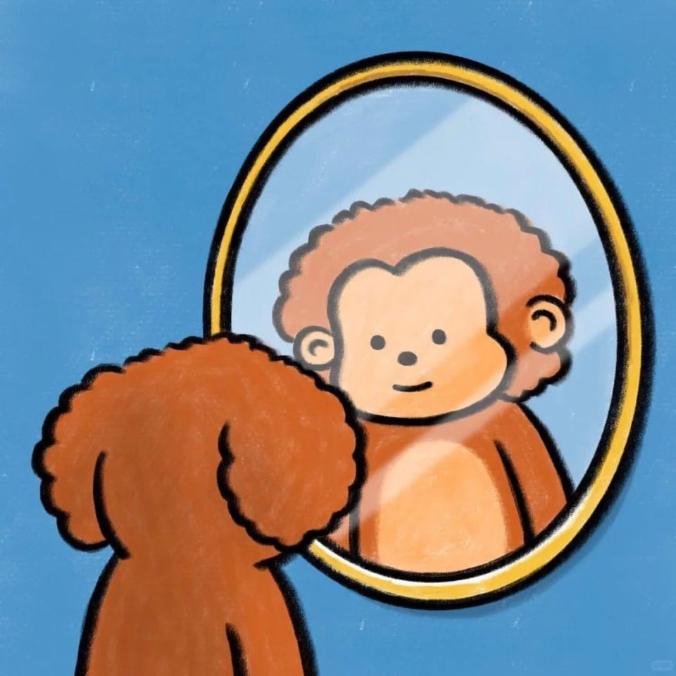 虎魚泡藥可以看出來嗎 虎魚泡藥可以看出來嗎 龍魚論壇 第6張