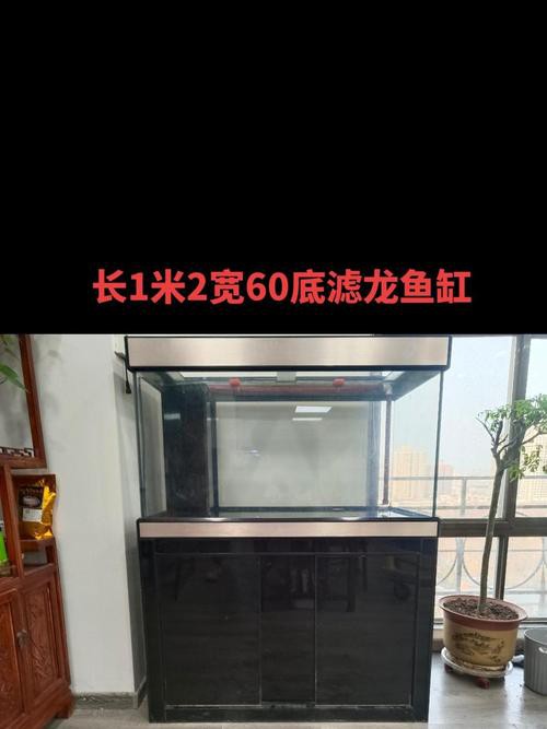 龍魚(yú)缸擺放位置圖片