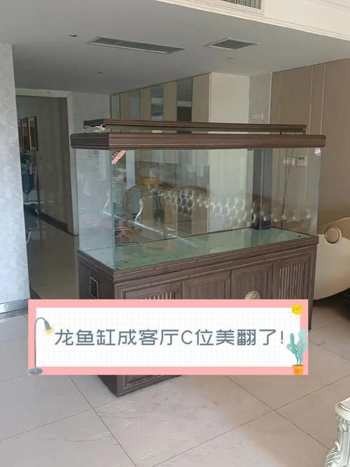 龍魚(yú)缸擺放位置圖片