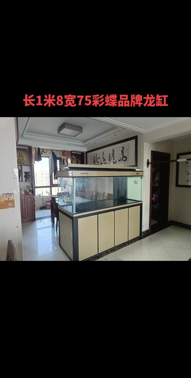 龍魚(yú)缸擺放位置圖片