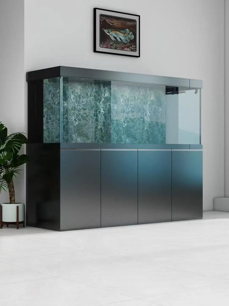 龍魚(yú)缸擺放位置圖片