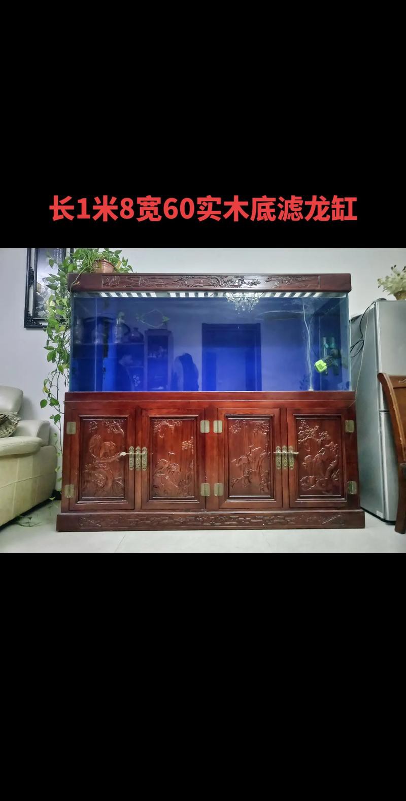 龍魚(yú)缸擺放位置圖片