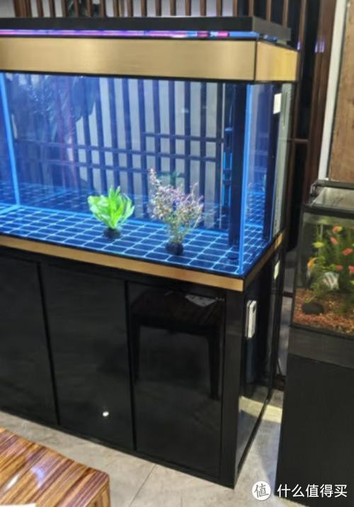 龍魚(yú)缸擺放位置圖片