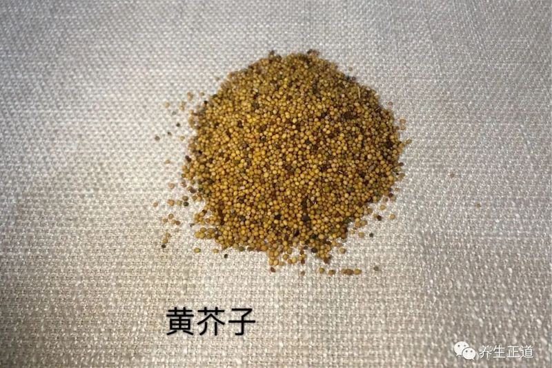 紅芥子好還是黃芥子好 龍魚論壇 第24張 紅芥子好還是黃芥子好 紅芥子好還是黃芥子好 龍魚論壇 第24張