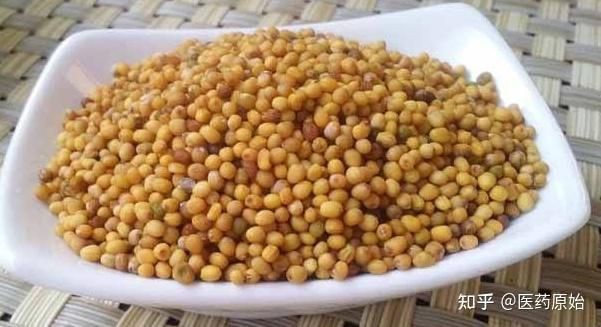 紅芥子好還是黃芥子好 龍魚論壇 第6張 紅芥子好還是黃芥子好 紅芥子好還是黃芥子好 龍魚論壇 第6張