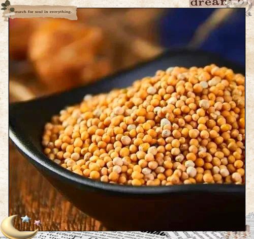 紅芥子好還是黃芥子好 龍魚論壇 第8張 紅芥子好還是黃芥子好 紅芥子好還是黃芥子好 龍魚論壇 第8張