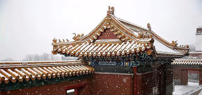 龍頭魚尾的是什么動物