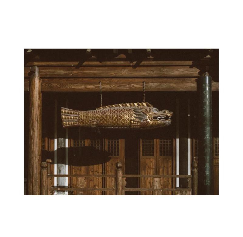 龍頭魚尾的是什么動物