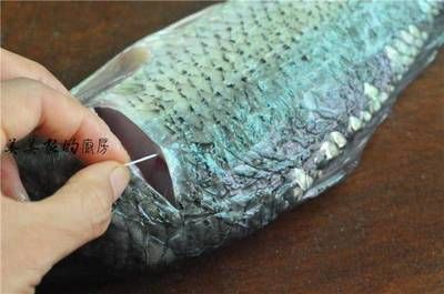 龍魚(yú)鱗上有白點(diǎn)為什么：龍魚(yú)鱗片上出現(xiàn)白點(diǎn)是怎么回事
