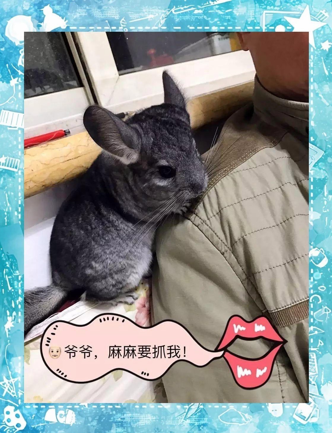 龍貓最討厭三個東西