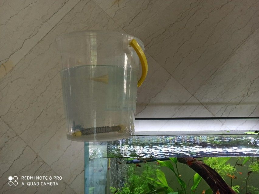 魚缸的水很渾濁,怎么處理？（魚缸水很渾濁怎么辦）