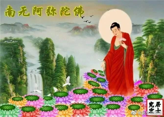 佛教中不允許吃魚籽的原因