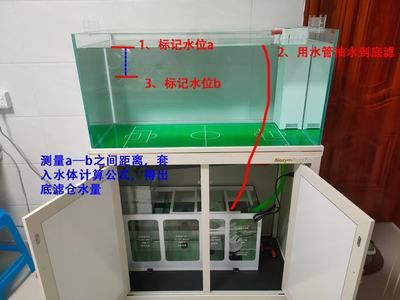 底濾魚缸通過(guò)物理過(guò)濾和生化過(guò)濾魚缸過(guò)濾魚糞便的具體步驟：底濾魚缸如何過(guò)濾魚糞便