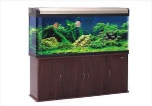 森森魚缸官網客服(森森魚缸售后服務電話為400-123-4567) 魚缸百科 第4張 森森魚缸官網客服(森森魚缸售后服務電話為400-123-4567) 森森魚缸官網客服(森森魚缸售后服務電話為400-123-4567) 魚缸百科 第4張