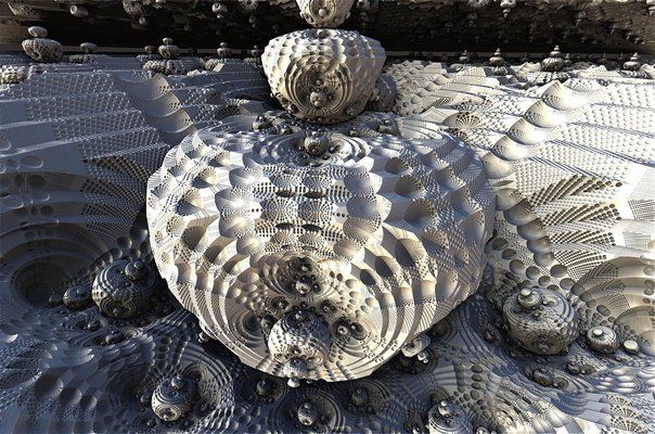 龍魚魚缸背景圖片下載大全最新：高清龍魚魚缸背景圖片下載大全 龍魚魚缸背景圖片下載大全最新：高清龍魚魚缸背景圖片下載大全 龍魚百科 第5張